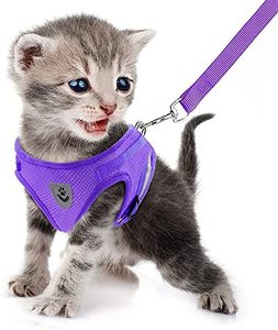 lot 2055 image: FEimaX Dog Harness and Leash Set Mesh Adjustable Reflective Small Dogs Cats