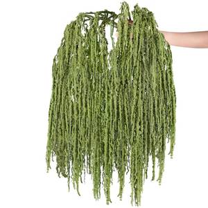lot 8284 image: Suncalla Bright Green Dried Amaranthus Hanging Flowers 12 Pcs 23 Inch