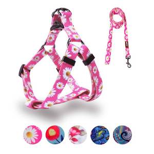 lot 10074 image: QQPETS Dog Harness Leash Set Adjustable Heavy Duty No Pull Halter Harnesses for Small Medium Large Breed Dogs Back Clip Anti-Twist Perfect for Walking (M(19-26 Chest Girth), Daisy)