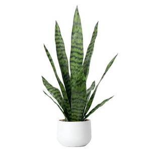 lot 17895 image: Bird Fiy Artificial Snake Plant 22.5-Inch Faux Agave Potted Plant White Pot