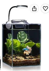 lot 1680 image: Wonderfactory Vista Fish Tank V1 Ultra-White Glass 5.9x5.9x7.9in - Stock image may not match actual product images