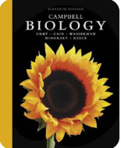 lot 2083 image: Campbell Biology Eleventh Edition Hardcover Textbook by Urry, Cain, Wasserman, Minorsky, Reece - Stock image may not match actual product images