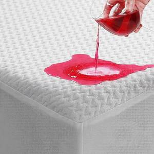 lot 1773 image: TASTELIFE Mattress Protector Queen Size Bamboo Viscose 60x80 Inches