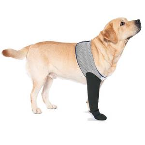 lot 2245 image: Coodeo Dog Paw Protector Socks Anti Licking Grey 2XL Right