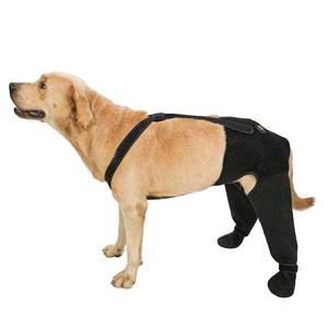 lot 2347 image: Coodeo Dog Paw Protector Sock with Hind Leg Sleeve Black XL