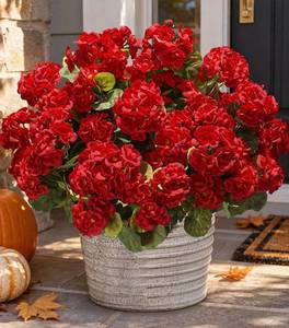 lot 7508 image: HyeFlora Artificial Geranium Flowers Red 6 Bundles Silk UV Resistant