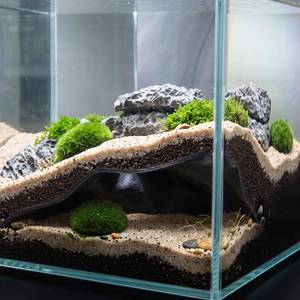 lot 7522 image: SiliFine Aquarium Cave Hideout Fish Tank Tunnel 3D Printed Black 1 Hole
