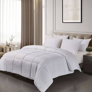 lot 12537 image: Blue Ridge Home Fashions Reversible Comforter, King, White, (Comforter Only)