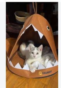 lot 43412 image: YKUBOT Shark Shaped Cat Bed
