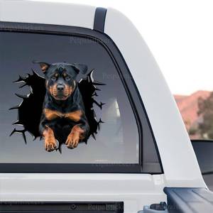 lot 43458 image: Vinyl Dog Stickers - Car Decals for Women, Dog Lover Gift (Rottweiler Decals) - Retail $23