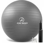 ProBody Pilates Yoga Ball - Vibrant Colors Exercise Ball - Retail: $30