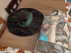 lot 83 image: Wicked Witch Costume Set with Black Hat Dress Adult Halloween costume