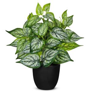 lot 1895 image: Villa Como 14.5 Artificial Plants Indoor Home Decor Small Faux Plant - Retail $20