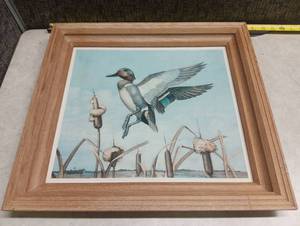 lot 3001 image: Brown & Bigelow Framed Duck Print - Green-Winged Teal in Flight