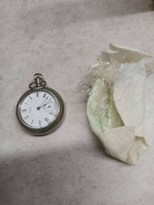 lot 3086 image: American Waltham Pocket Watch with Subsidiary Dial