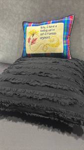 lot 1042 image: Black throw pillow with fringe 21 x 21 and small Toto pillow with plaid back