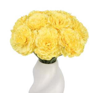 lot 2242 image: muafho Yellow Carnations Artificial Flowers 10Pcs Large Carnations Flower Heads Lush Silk Flowers Bouquet with Stems for Wedding Bouquets Bridal Home Table Centerpieces(Yellow) - Retail $20
