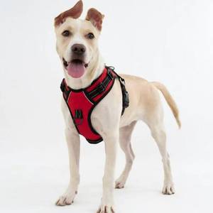 lot 2392 image: OkTreat No Pull Dog Harness for Large Dogs, Adjustable Padded Dog Vest Harness with Front Clip and Quick Release Buckle, No Choke Y Design Pet Harness for Puppy Training and Walking XL - Retail $18