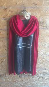 lot 250 image: Adult Halloween Costume