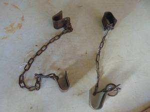 lot 3970 image: Calf kickers