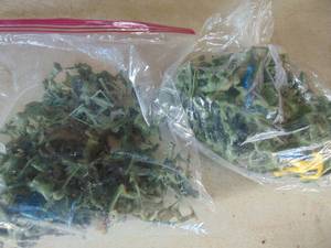 lot 3978 image: Plastic Army men