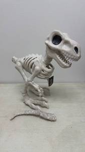 lot 6 image: Hyde and Eek T-Rex Skeleton 15.3 inch IndoorOutdoor Decorative Figure (Broken Tail)