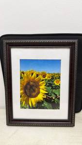 lot 142 image: Framed Sunflower Field Photograph (16.25x13.25)