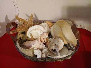 lot 1772 image: Seashell Collection Basket with Starfish and Shells