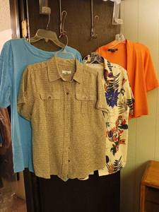 lot 2409 image: Ladies Clothing Lot P CJ Banks Beth Madison Short Sleeve Shirts Size L