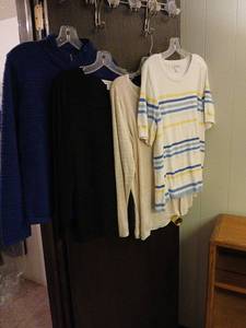 lot 2410 image: Ladies Clothing Lot Liz Claiborne Christopher & Banks XL