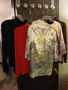 lot 2514 image: Ladies tops  L XL