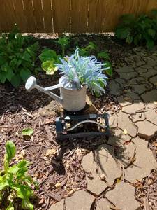 lot 4105 image: Metal Watering Can Planter and Faux Floral Arragement with oceliating springer in backyard