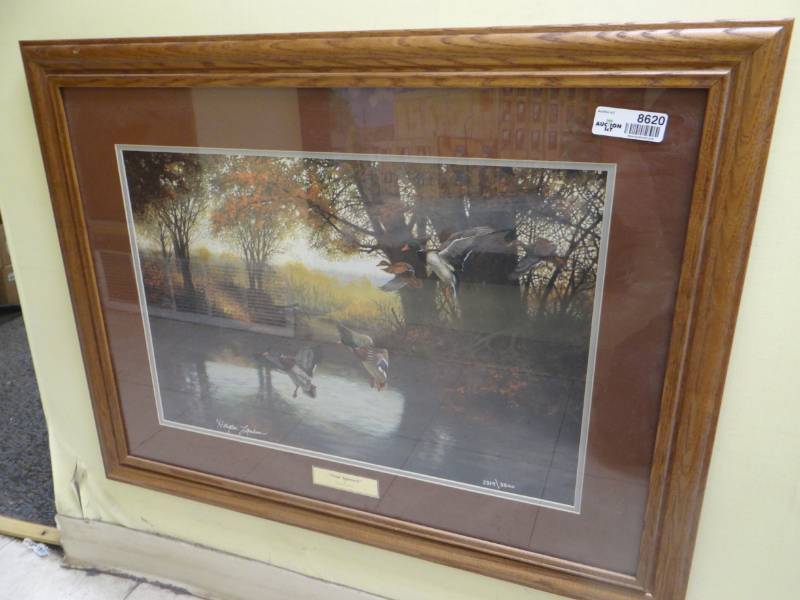 lot 8620 image: Framed print of Ducks- Signed & numbered by Artist Hayden Lamhson Titled  Final Approach