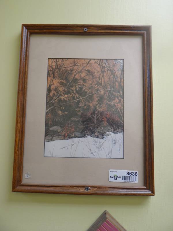 lot 8636 image: Framed print of Bear in trees- 12 x 15