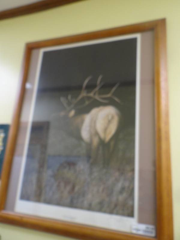 lot 8638 image: Large framed print Sunrise in the Rockies Signed by artist Joanne Lobenstein- 25 x 31