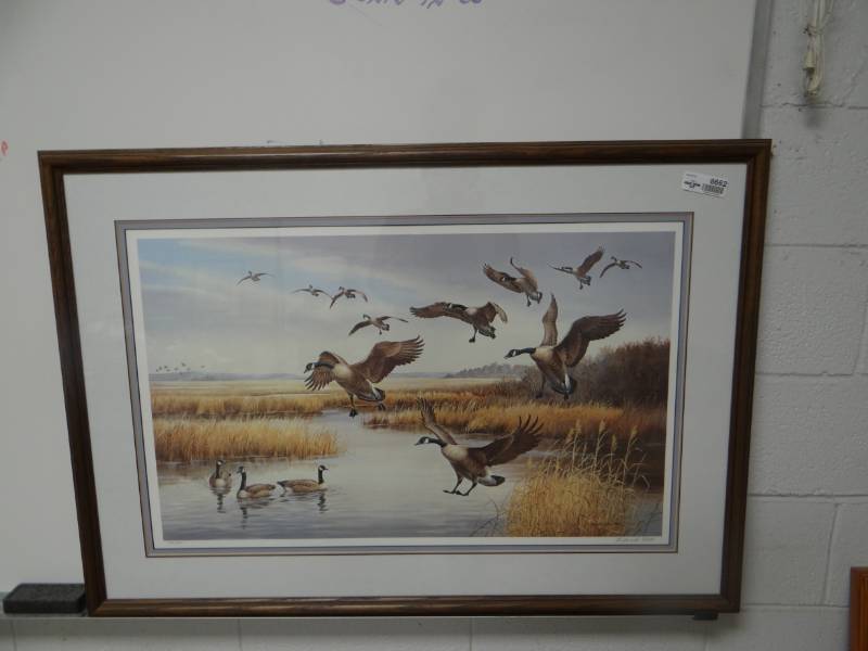 lot 8662 image: Large framed print of Canadian Geese signed & numbered- Artist Maynard Reece- 41 x 29