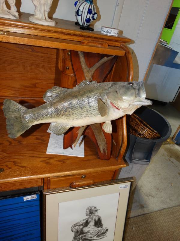 lot 8740 image: Taxidermy Bass Mount