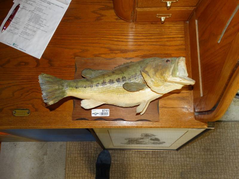 lot 8741 image: Taxidermy Bass Mount