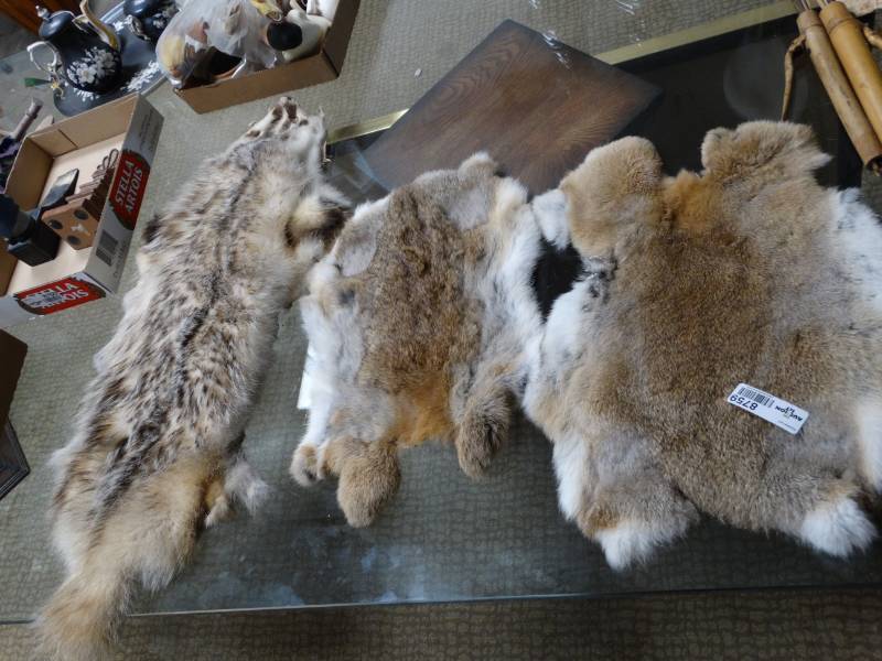 lot 8759 image: Badger pelt & 2 rabbit skins