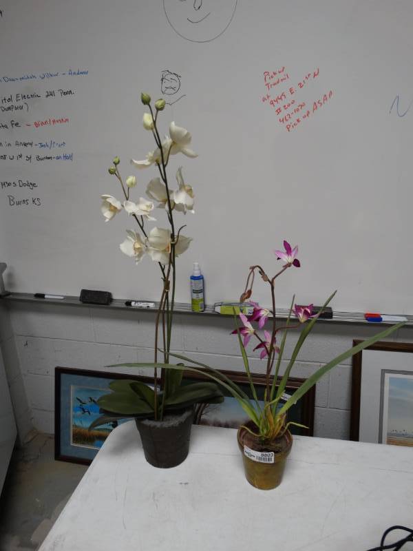lot 8803 image: 2 faux Orchids in pots