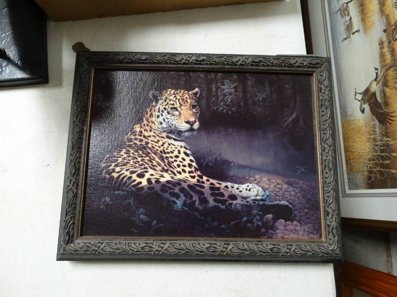 lot 8813 image: Framed Charles Trace Wildlife print- 14 x 11