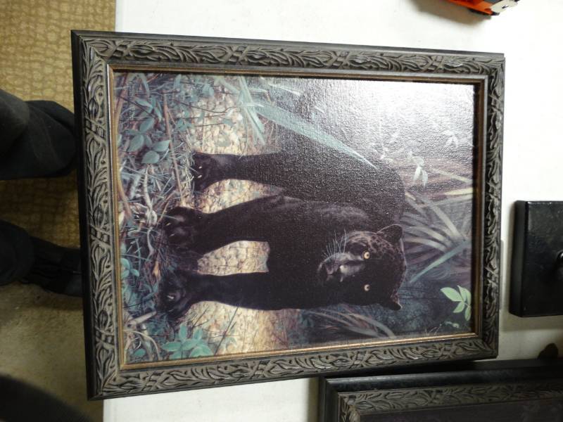 lot 8814 image: Framed Charles Trace Wildlife print- 14 x 11