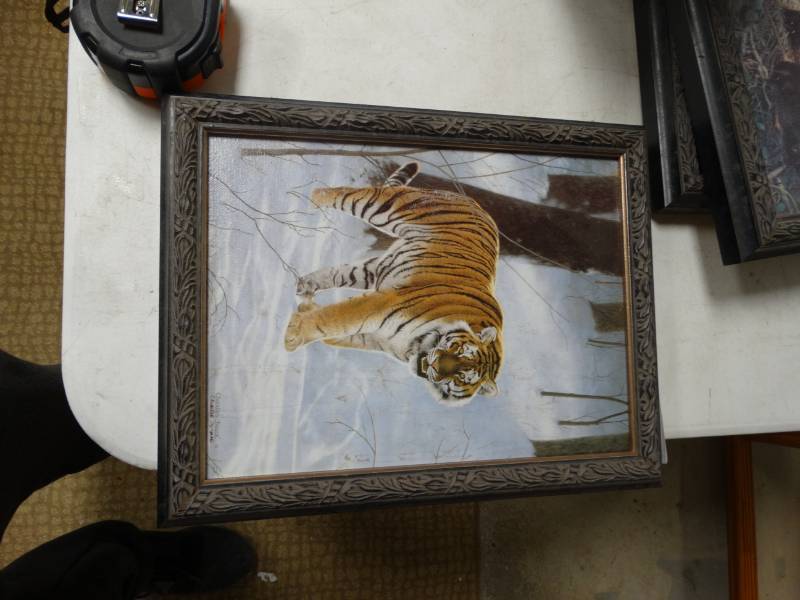 lot 8815 image: Framed Charles Trace Wildlife print- 14 x 11