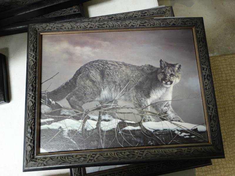 lot 8816 image: Framed Charles Trace Wildlife print- 14 x 11