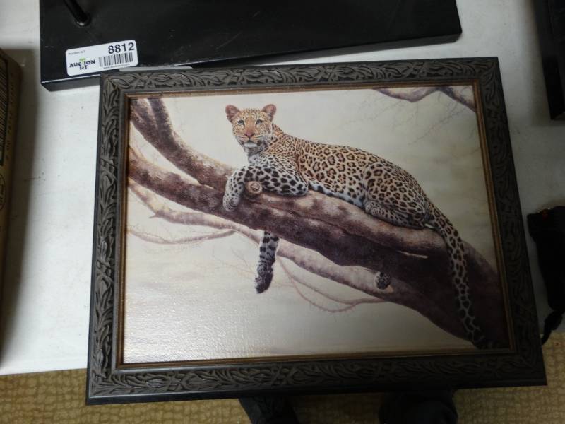 lot 8817 image: Framed Charles Trace Wildlife print- 14 x 11