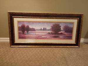 lot 920 image: Framed Wall Decor.  22 x 46