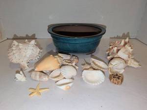 lot 1232 image: Ceramic Bonsai Pot with Drainage Holes Teal, and sea shells. Pot is 3x8x7