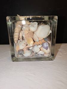 lot 1237 image: 6x6 Glass Cube with Seashells