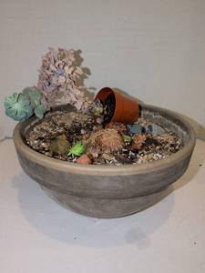 lot 1250 image: Succulent Plant Garden with Ceramic 6x12 pot