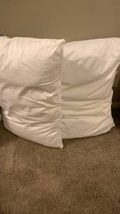 lot 1501 image: Standard size bed pillows